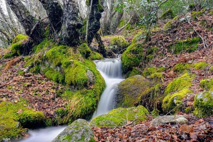 Casa Rural Las Nieves Villa San Ciprián Kültér fotó